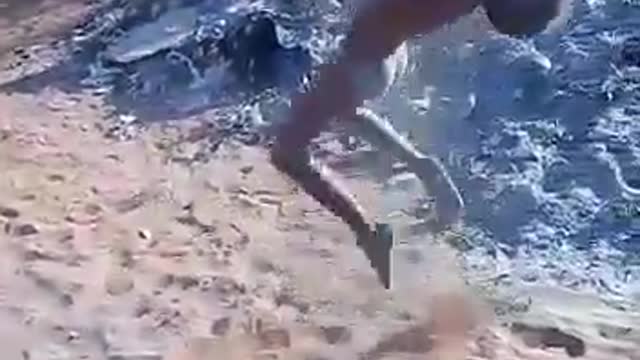Funny dance