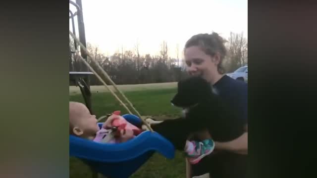 The dogs like to play with children.