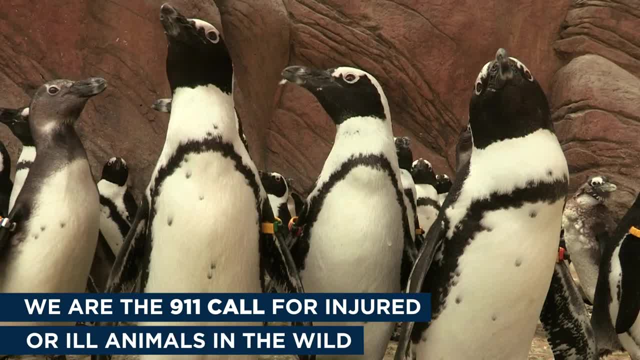 This is the Heart of Seaworld