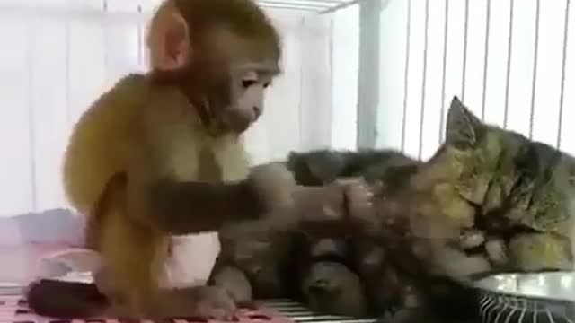 I want to sleep. Don't touch me