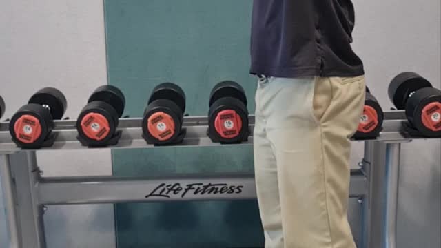 Anterior Raise 90d
