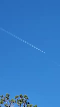 CON Vs CHEM TRAILS - Proof