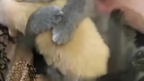 best friends
