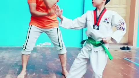 Taekwondo Father and Son