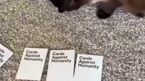 Daddy issues cards against humanity