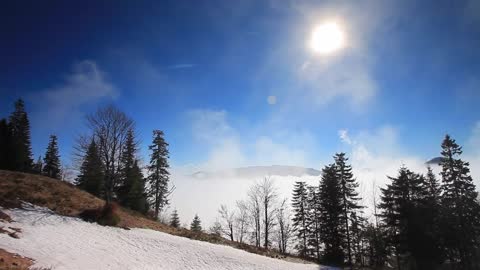 Sun flare on the highest point of a hazy winter backwoods