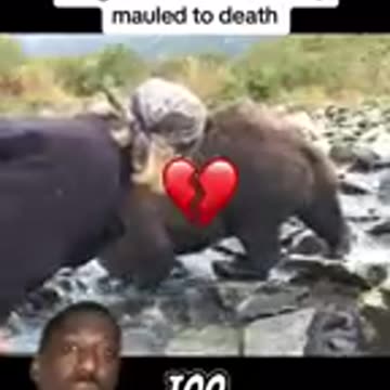 Timothy Treadwell RIP