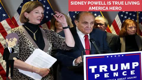 Sidney Powell a True American Hero