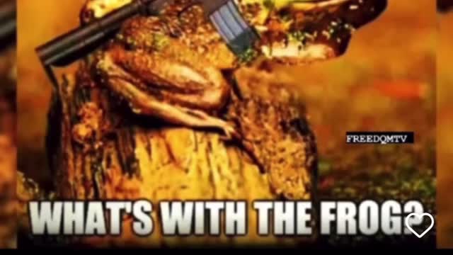 Don’t want to kill because I’m hungry