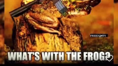 Don’t want to kill because I’m hungry