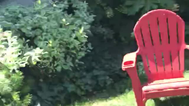 Two Chairs Nation