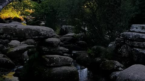 Collapsed clapper bridge. Dartmeat. Dartmoor.