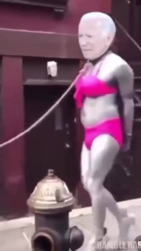 Obama taking Joe Biden for a walk.