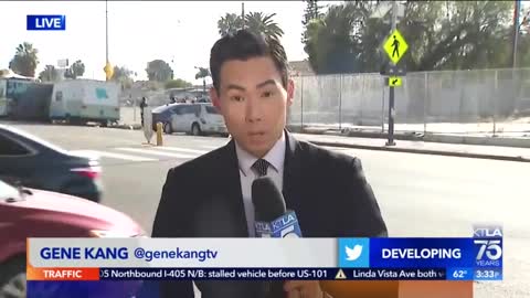 Reporter's Story on Dangerous L.A. Street Interrupted by Hit and Run