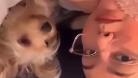 Cute & funny animal video