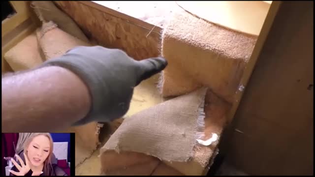 Gooseneck Trailer Renovation Another Closet