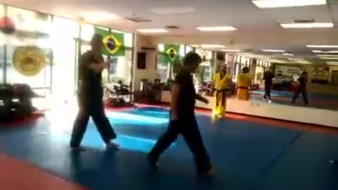 Hapkido