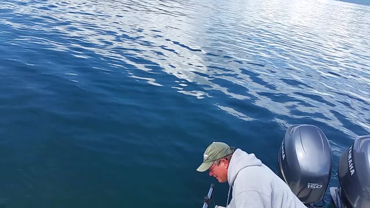 Halibut fishing in Alaska