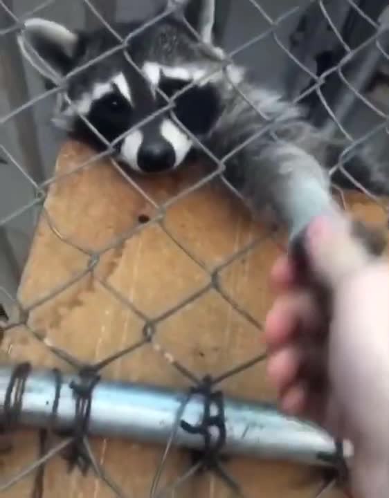 you’re my friend now, we’re having soft tacos later