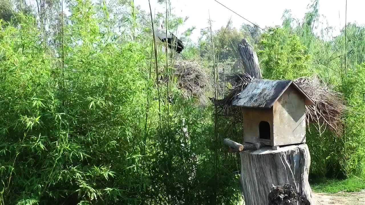 wooden bird house1