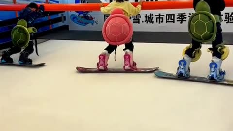 How do turtles learn snowboarding