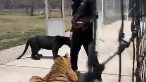 Brutal ehh??? I messed up the foot that tierra "BETTING"