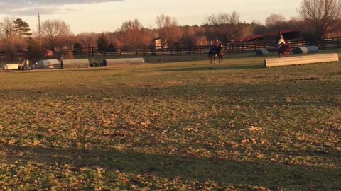 Silly Horse Smiles for the Camera