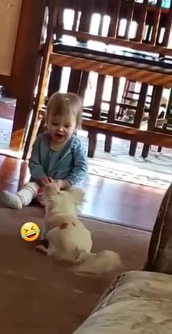 Baby girl funny video with dog