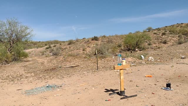 Birdshot vs some water