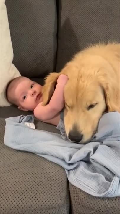 Protective Dog and Baby Cozy Together on Couch_batch