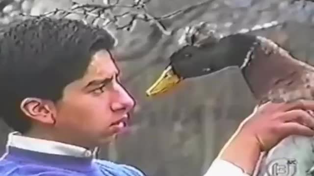 man hypnotizing a duck