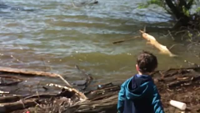 Throwing rocks with dad.