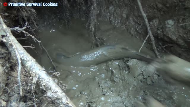 Survival Skills - Dig Deep Mud Hole to Finding Fish Meet Catfish - Catch Catfish by Unique Fishing