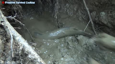 Survival Skills - Dig Deep Mud Hole to Finding Fish Meet Catfish - Catch Catfish by Unique Fishing