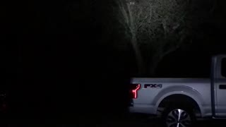 Flying squirrel lands on wife