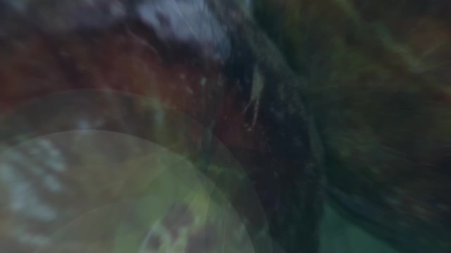 خيرات البلاد
