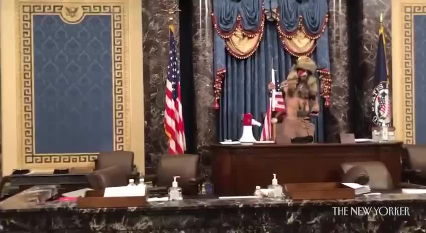Capitol "Riot" - The Most Polite Group of Violent Protestors Ever
