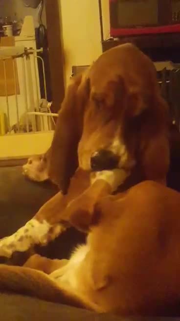 DID I STEP IN SOMETHING ?? I HATE DIRTY FEET