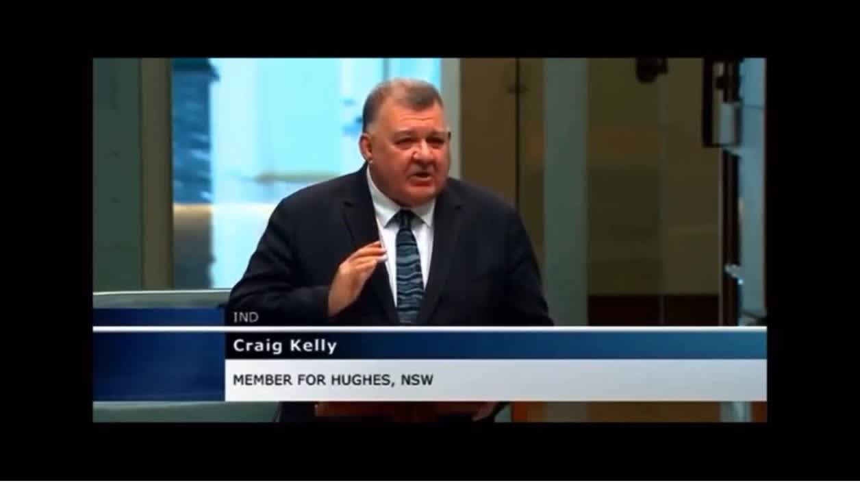 Craig Kelly stands for Treatments of corona