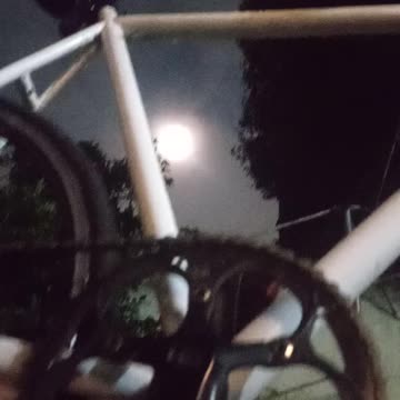 fixed gear reflection