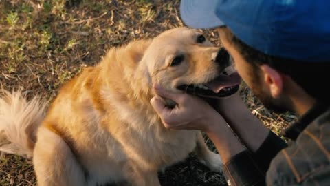 Dog being petted... Nice watching animals video.