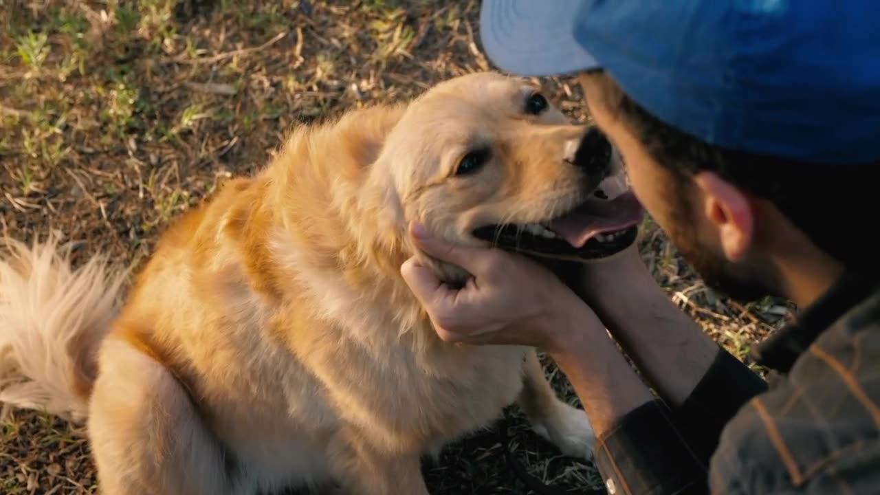 Dog being petted... Nice watching animals video.