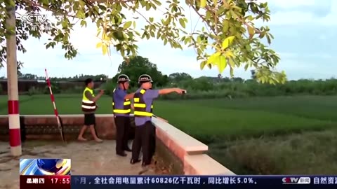 Search on for 70 runaway crocodiles in China