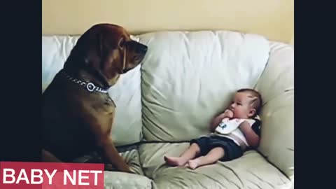 a collection of funny videos of children and their owners