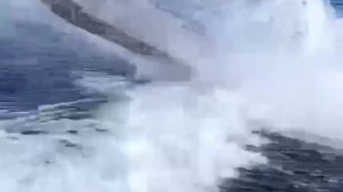 Bring your pedals and let's ride the waves