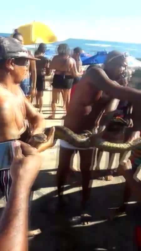 Brazilian Beachgoers Catch Huge Boa Constrictor