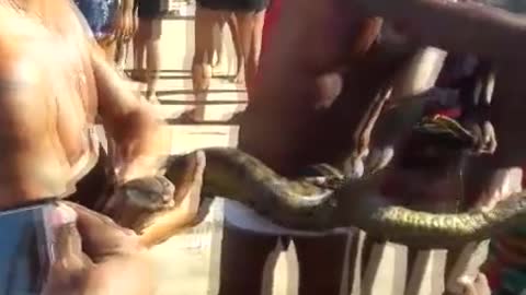 Brazilian Beachgoers Catch Huge Boa Constrictor