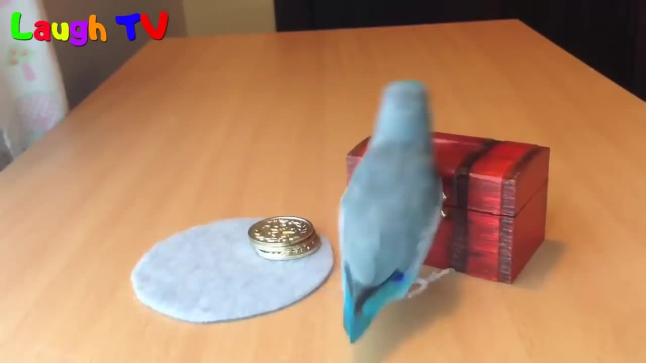 Amazing parrot inserting cash inside the piggy bank