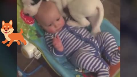 Puppy climbs into the crib to sleep with baby / funny videos