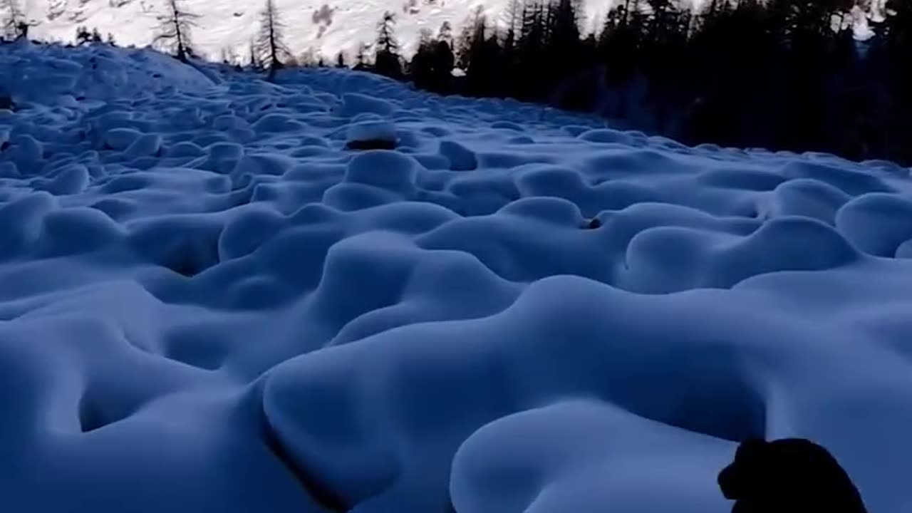 ⛷️⛷️⛷️